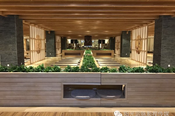 武汉茶叶精选厂子：品质生活新选择(武汉茶叶厂家)